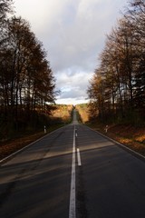 Straße im herbstlichen Wald