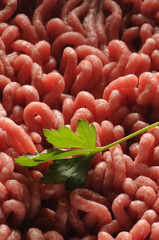 Carne macinata e prezzemolo