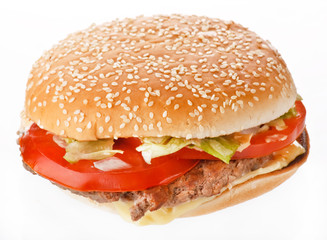 hamburger on the white