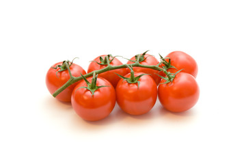 Tomatos