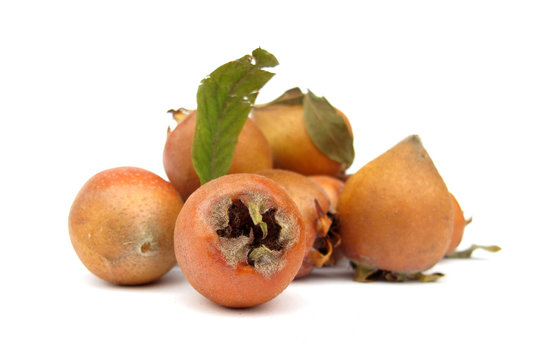 Medlar Fruit