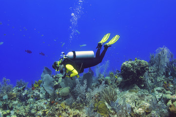 Woman exploring a reef
