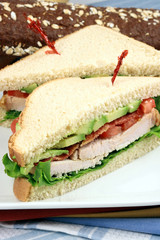 sandwich  with oven roasted turkey