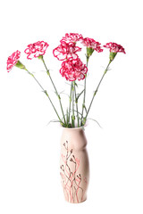 Pink carnation bouquet isolated on white