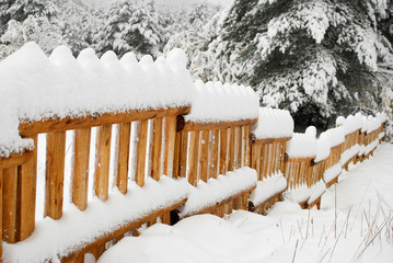 fence covered with snow