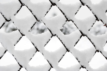 chain link fence in snow