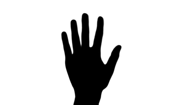Hand wave in silhouette against white - HD