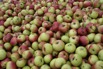 Äpfel als Hintergrund