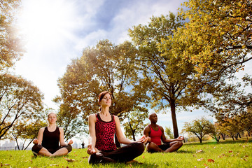 Park Yoga