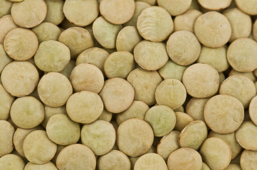 lentil