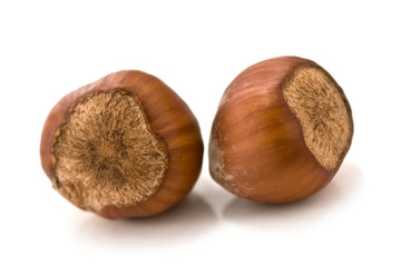 hazelnut
