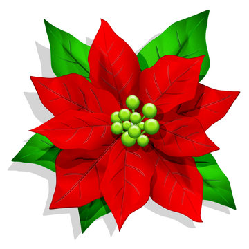 Clipart di stella di Natale in bianco e nero