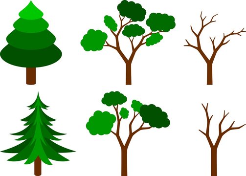 collection of  trees
