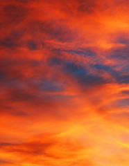 Fototapeta premium Love