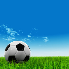 Naklejka premium 3D black soccer ball,green grass and a blue sky with clouds