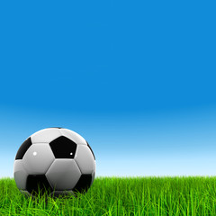 High resolution 3d leather black and white soccer ball