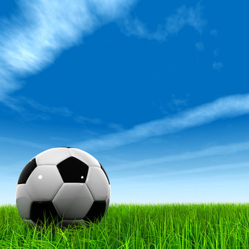 High resolution 3d leather black and white soccer ball on grass