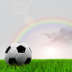 3D black soccer ball,green grass and a blue sky with clouds