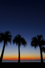 Obraz premium ブルーモーメント