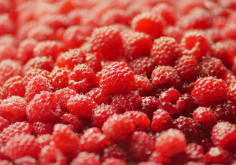 Red Raspberries