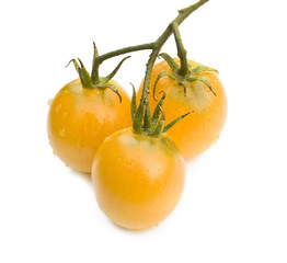 tomato