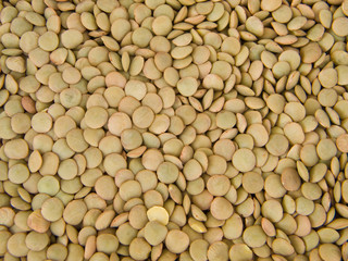 Lentils