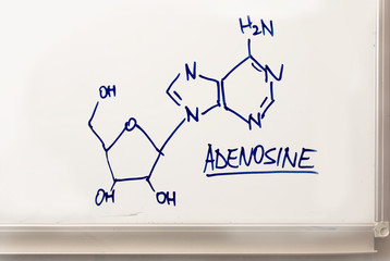 adenosine