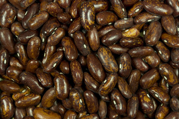 Grains of a red string bean