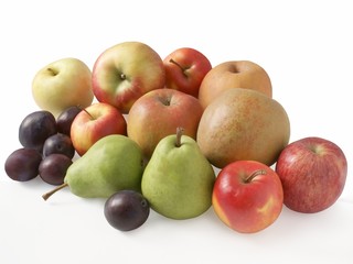 autumn fruits