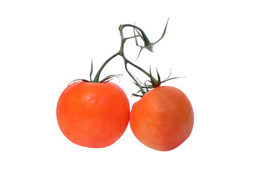 two tomatoes