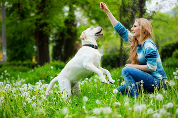 Playing with dog