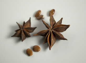 star anise, badiane, Chinese star anise (Sternanis)