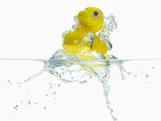 Ente gelb Wasser 1