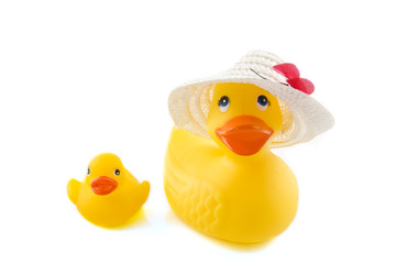 Mother duck with child