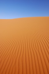 sahara desert