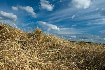 Plakat hay in field