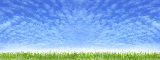 Obraz na płótnie Canvas blue sky and green grass.