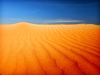 desert sahara