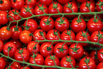 TOMATES EN GRAPPE - - - Marché - 21 mopix