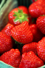 FRAISE - - - Marché - 21 mopix