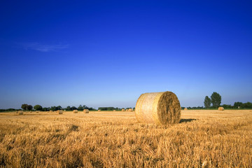 Fototapeta na wymiar farm field with hay bales in Hungary