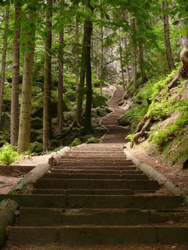 treppen