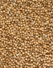 background ofcoriander seeds