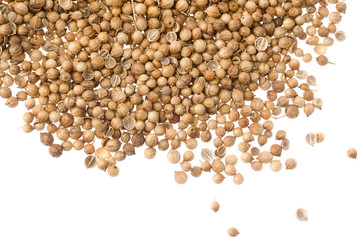 coriander seeds isolated on white background
