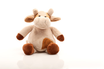 Bull-calf plush toy isolated on white