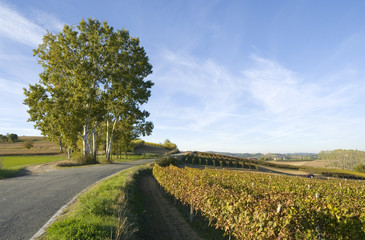 Paesaggio autunnale 12