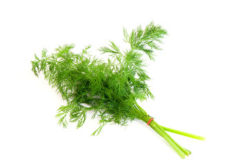 Dill