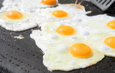 Fresh eggs being fried