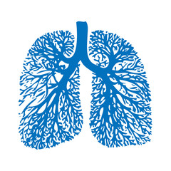 Lung Anatomy, bronchi, human medical illustration, emblem, schem - 18227022