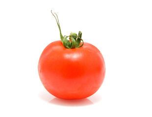 One fresh red tomato over white background